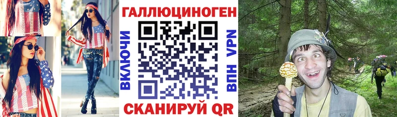 Купить где  Облучье  Псилоцибиновые грибы мухоморы 